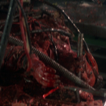 vlcsnap-2021-06-08-19h32m34s008