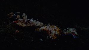 00002.mpls_snapshot_01.13.38.261