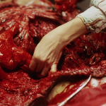 vlcsnap-2026-02-01-18h41m00s206